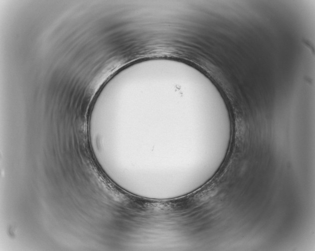 X0000103911234200810031205