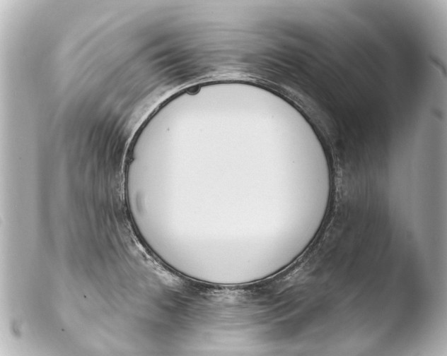X0000103911236200810031205