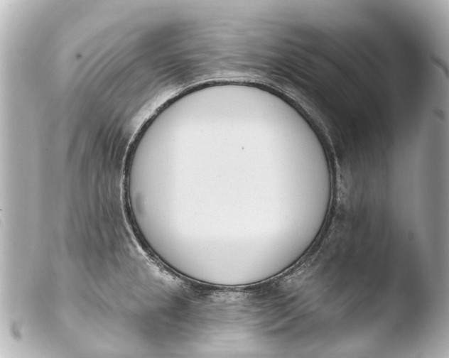 X0000103911237200810031205