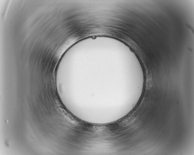 X0000103911242200810031205