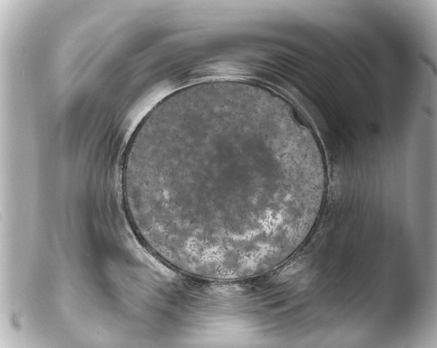 X0000103911243200810031205