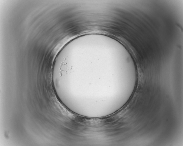 X0000103911244200810031205