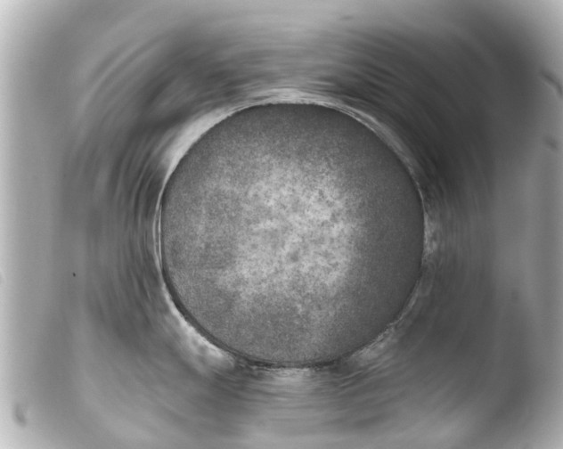 X0000103911247200810031205