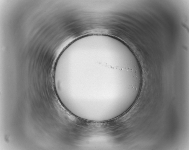 X0000103911248200810031205