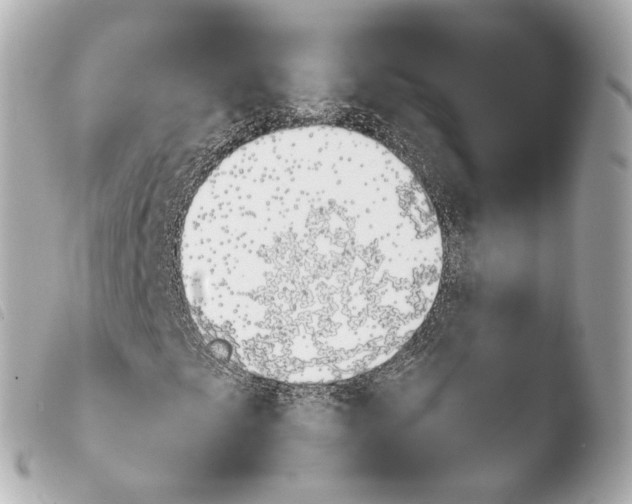 X0000103911249200810031204