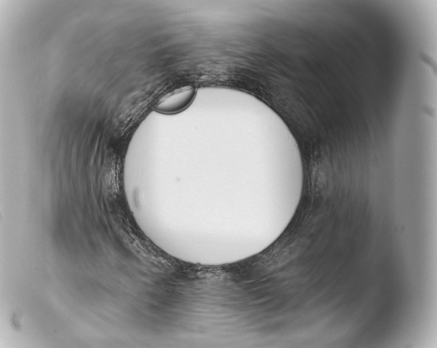 X0000103911250200810031204