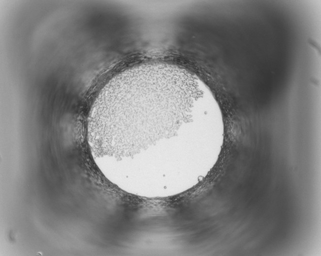 X0000103911253200810031204