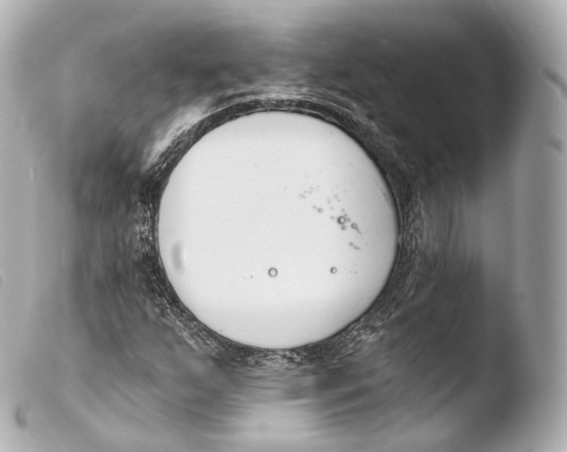 X0000103911255200810031204