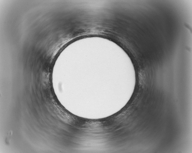 X0000103911260200810031204