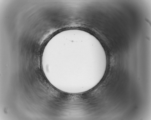 X0000103911262200810031204