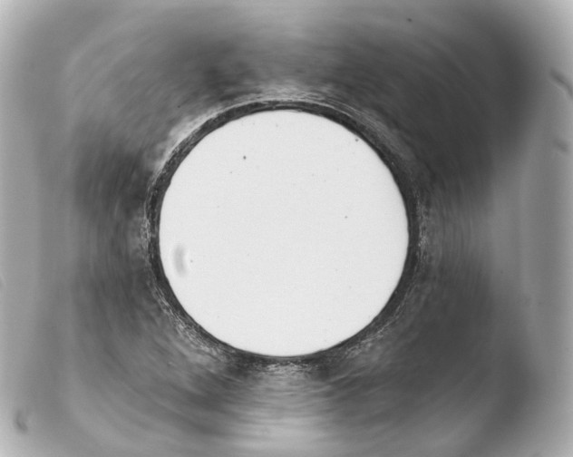 X0000103911264200810031204