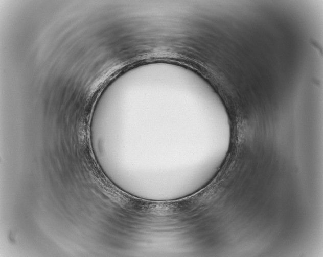 X0000103911266200810031204