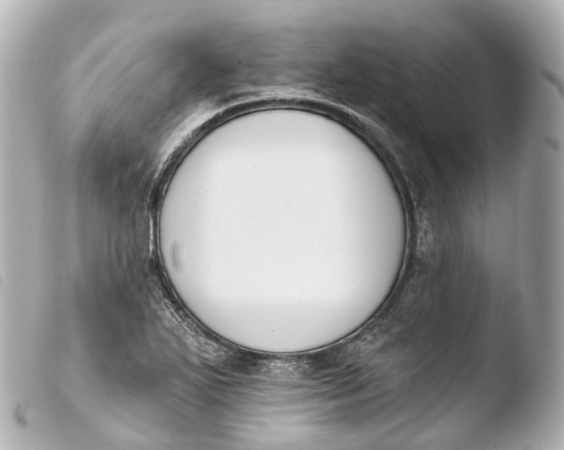 X0000103911271200810031204