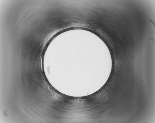 X0000103911272200810031204