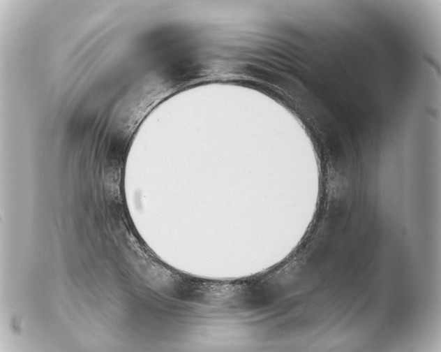 X0000103911273200810031204