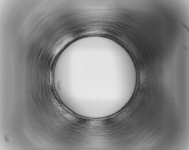 X0000103911274200810031204