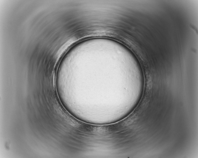 X0000103911275200810031204