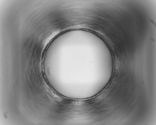 X0000103911278200810031204