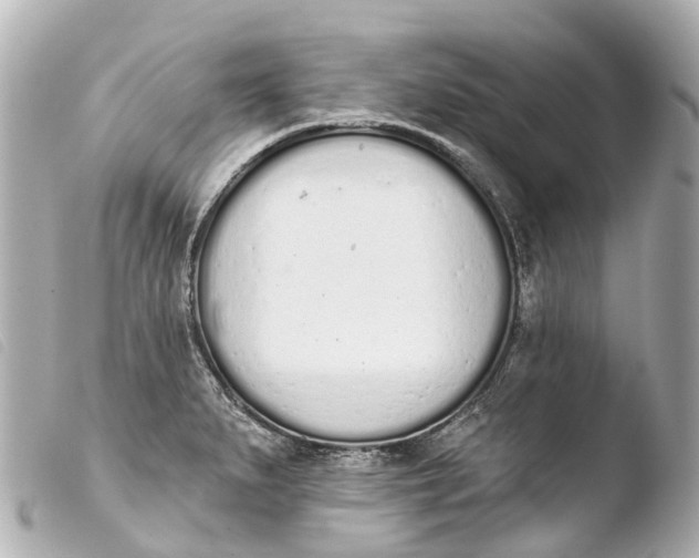 X0000103911279200810031204