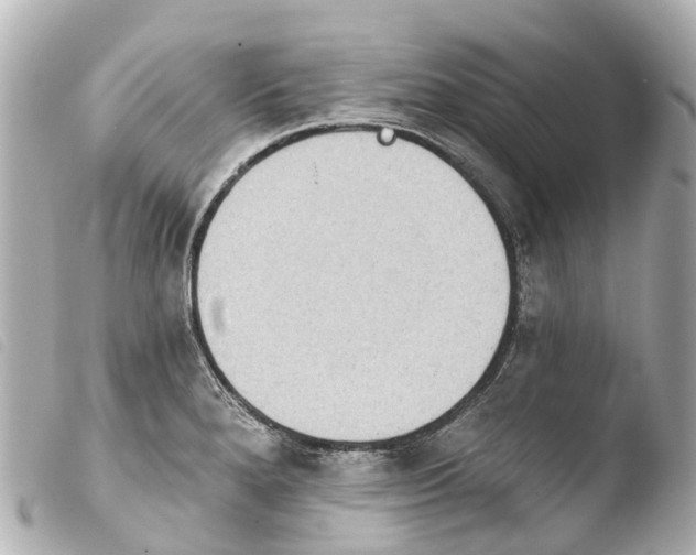X0000103911280200810031204