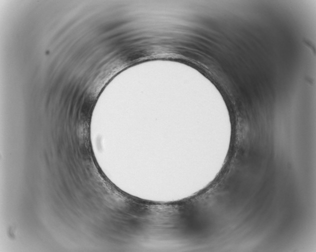 X0000103911281200810031204