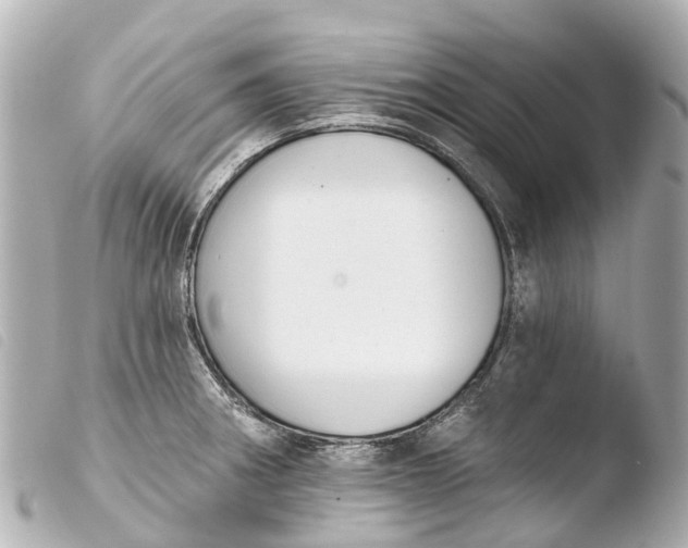 X0000103911282200810031204