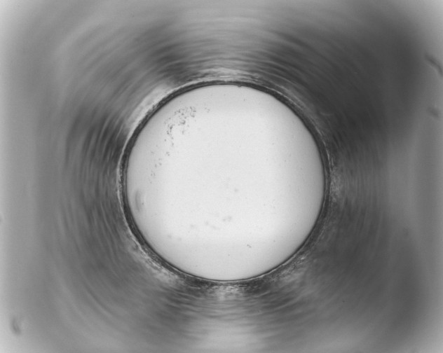 X0000103911283200810031204