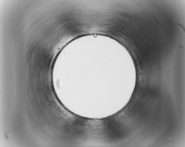 X0000103911285200810031204