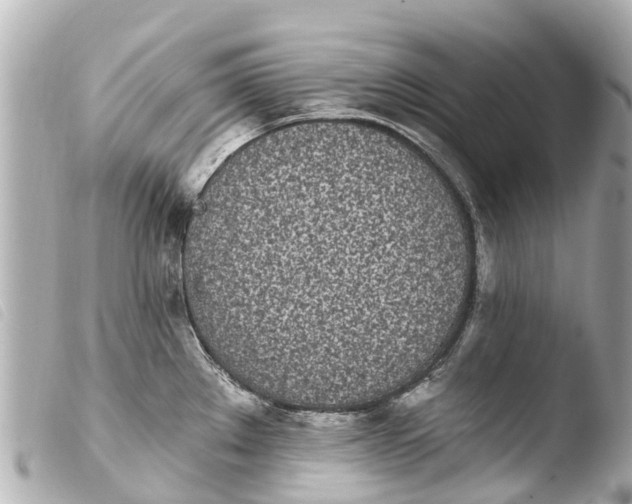X0000103911289200810031204