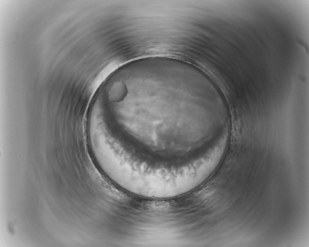 X0000103911291200810031204