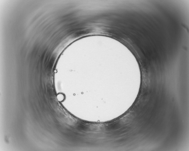 X0000103911292200810031204