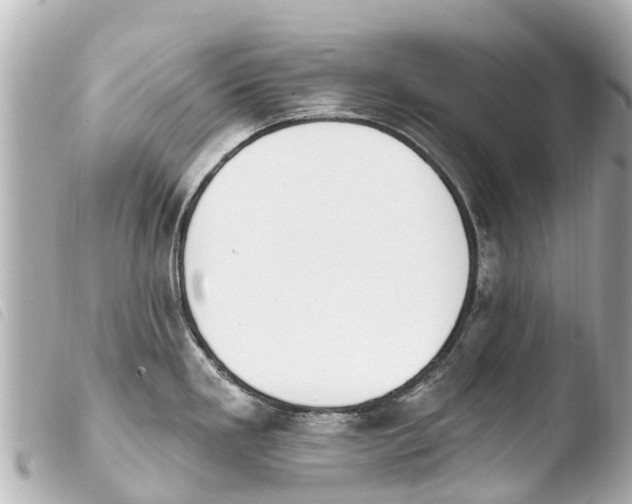 X0000103911293200810031204