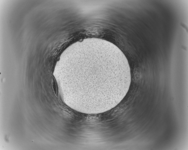 X0000103911297200810031203