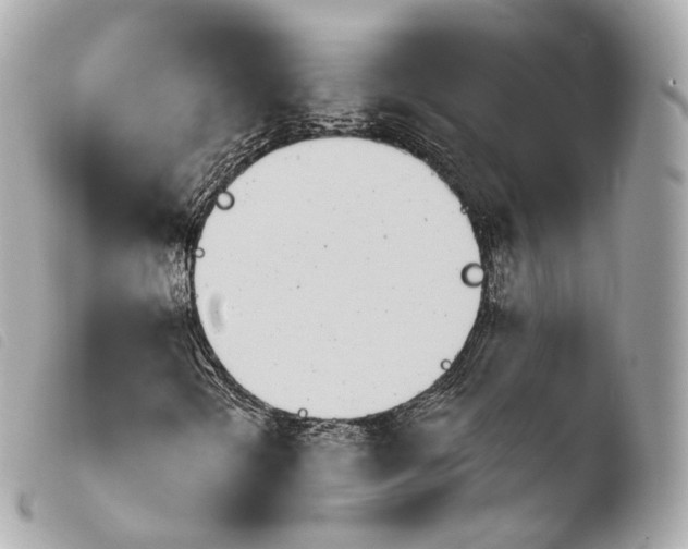 X0000103911298200810031203