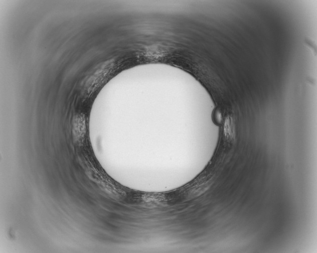 X0000103911299200810031203