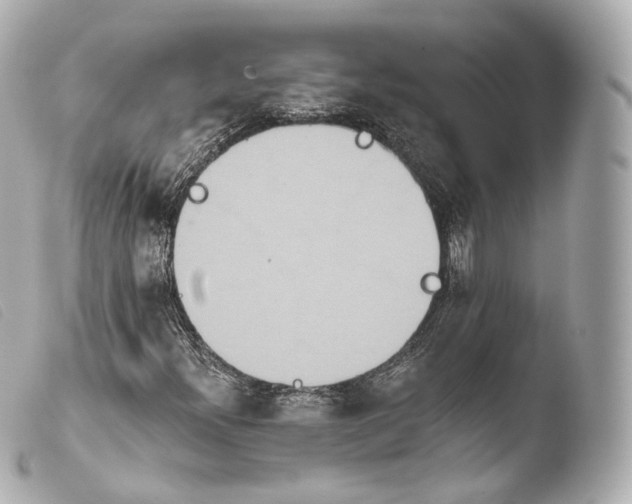X0000103911300200810031203