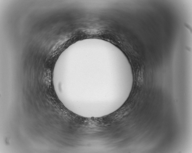 X0000103911301200810031203
