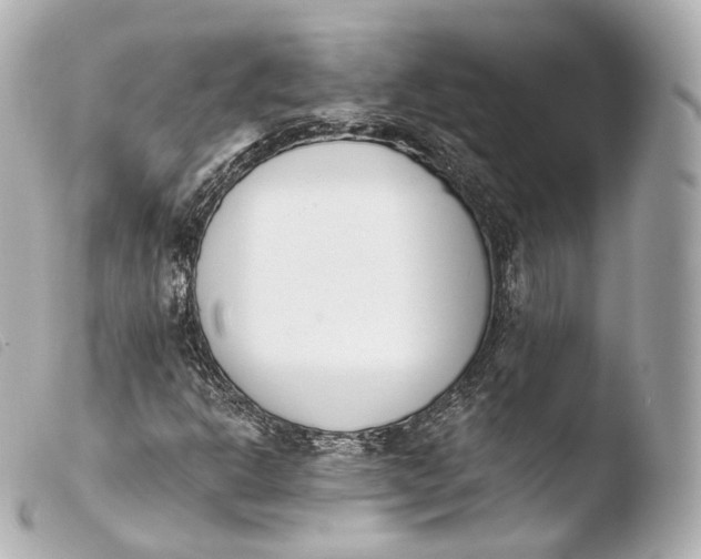 X0000103911302200810031203