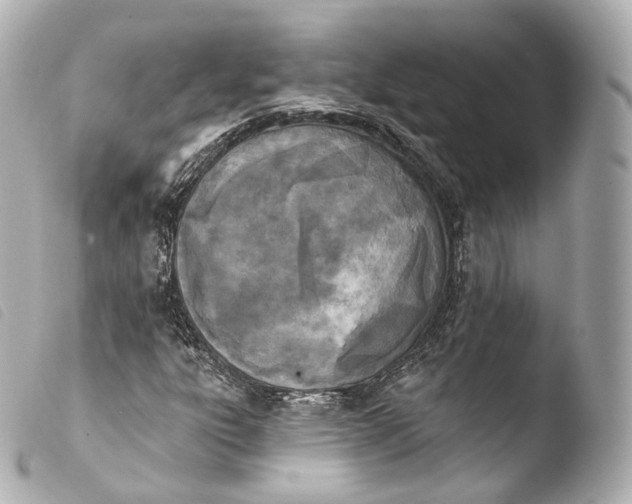 X0000103911303200810031203