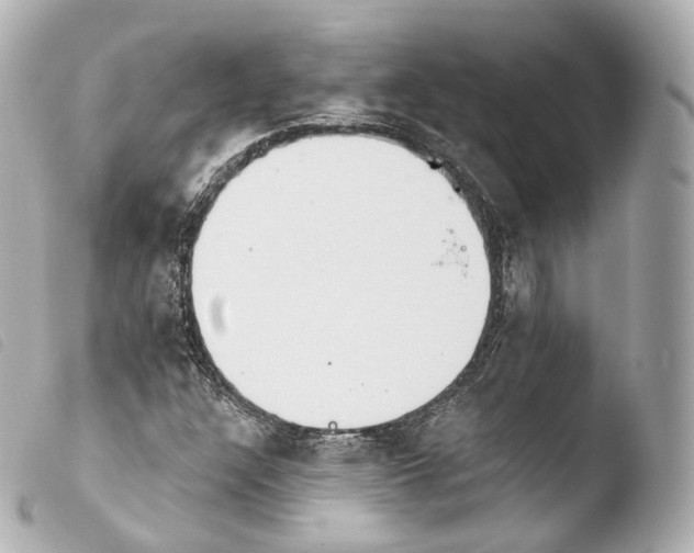 X0000103911304200810031203
