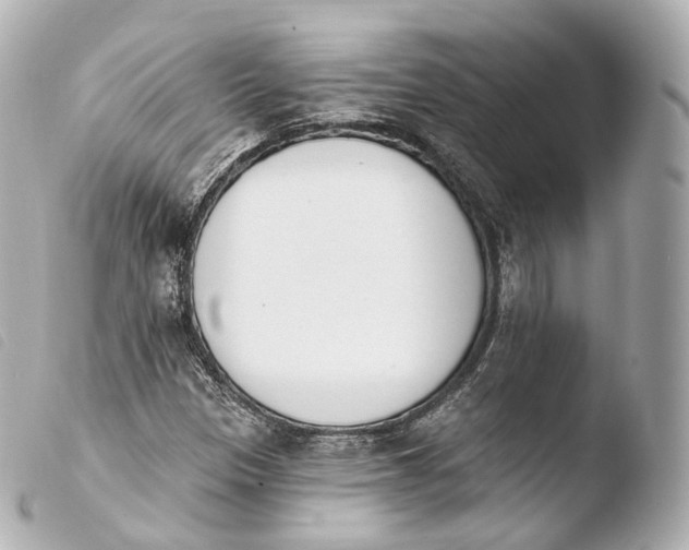 X0000103911305200810031203