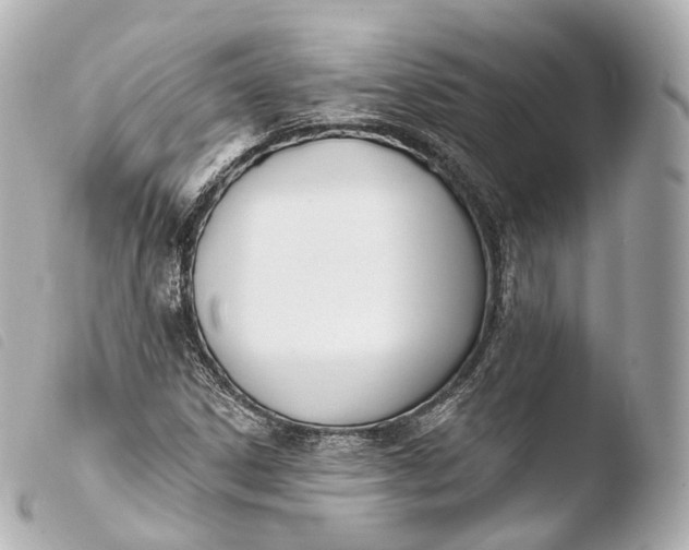 X0000103911306200810031203