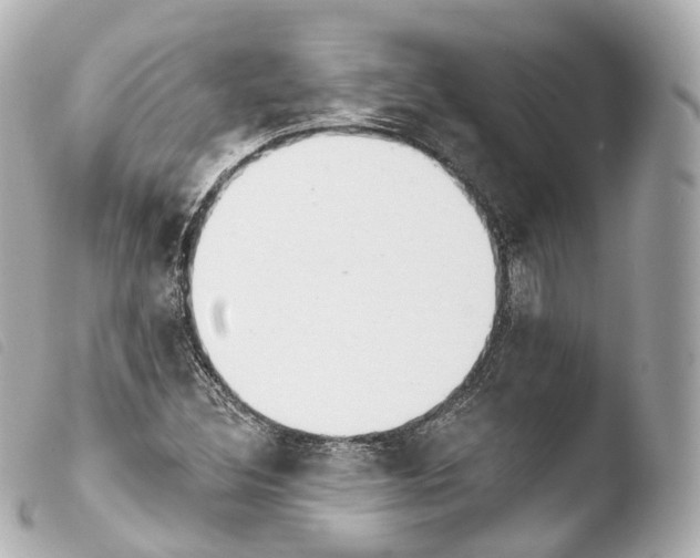 X0000103911308200810031203