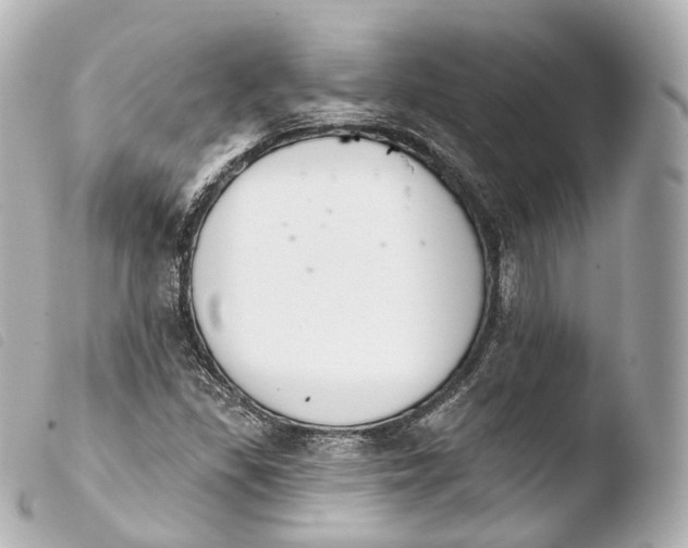 X0000103911309200810031203