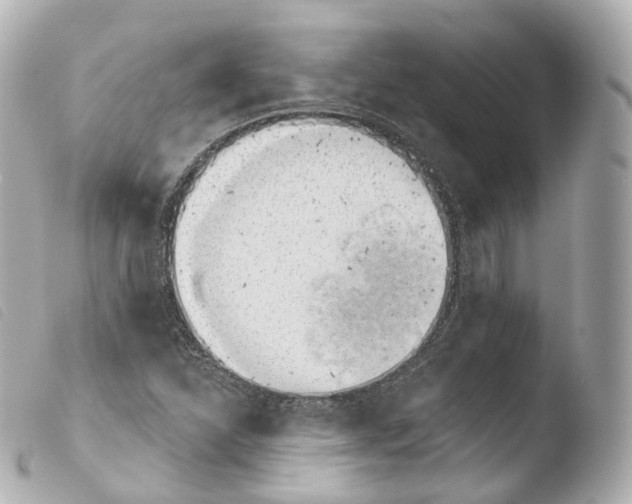 X0000103911310200810031203