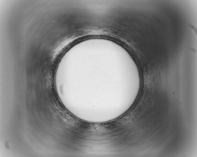 X0000103911311200810031203