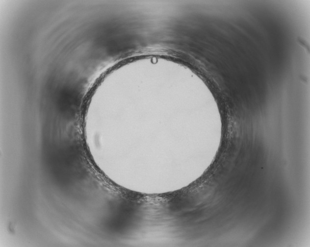X0000103911312200810031203
