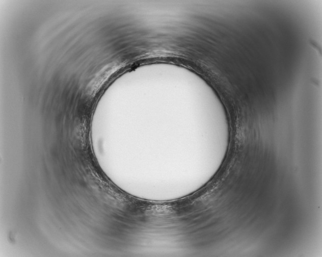 X0000103911313200810031203