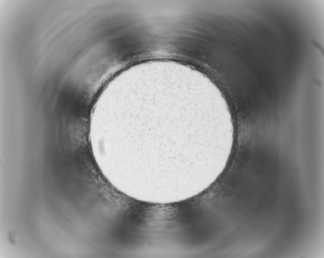 X0000103911314200810031203