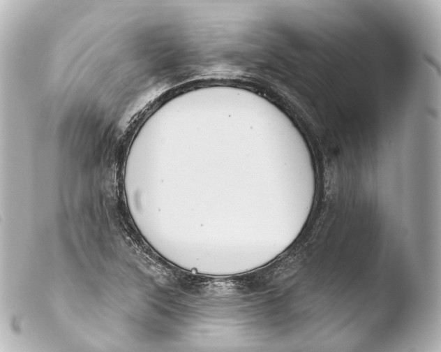 X0000103911315200810031203